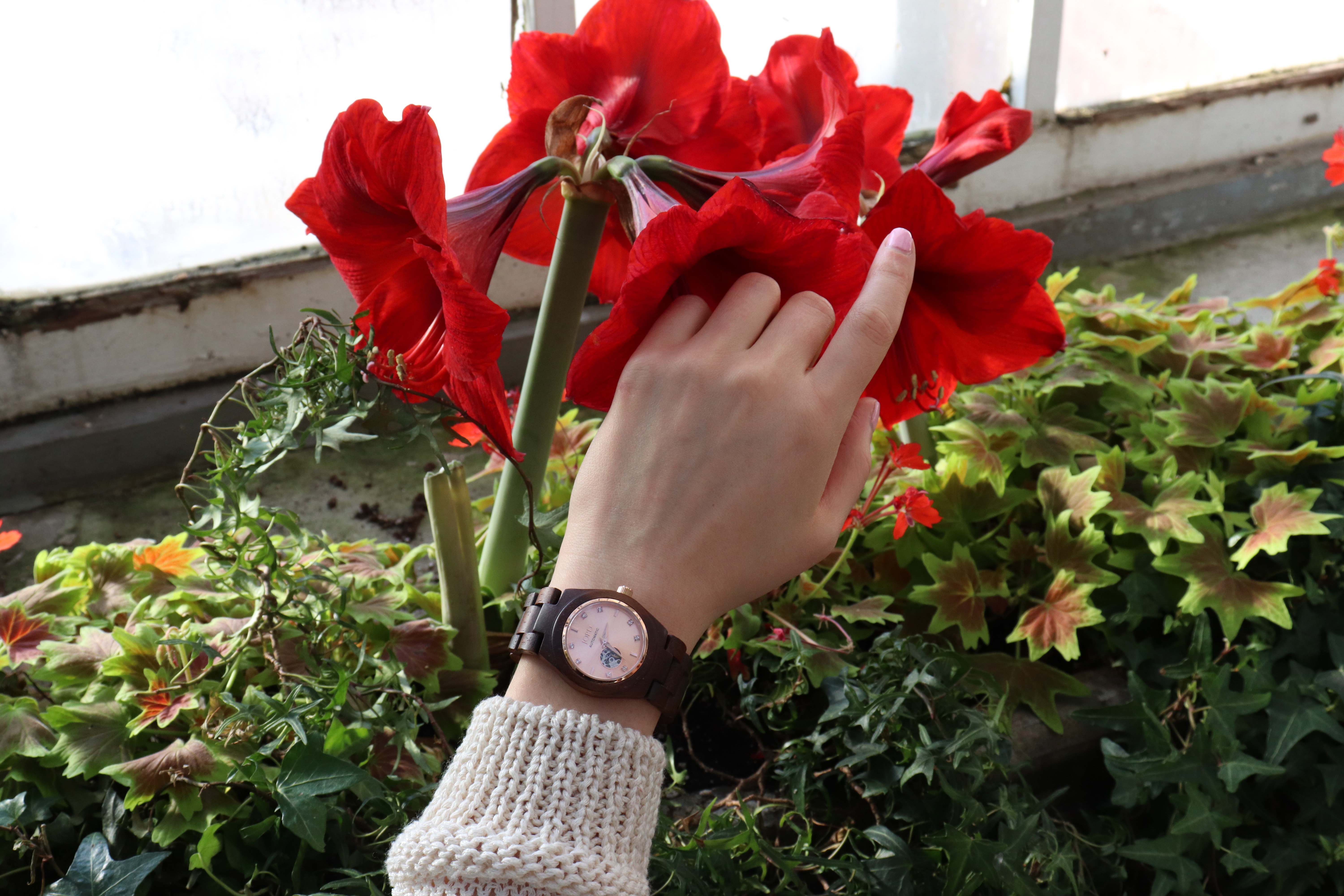 ED5775BF-1F08-4D36-9B70-3BABB8B33B09